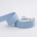 Light blue double-sided satin ribbon 1cm wide for gift wrapping and floral bouquets. - 2.5cm / Light Blue