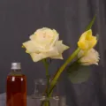 Flower dyeing agent liquid absorption colorant rose nutrient solution floral coloring tools - Yellow / 250ML