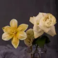 Elegant artificial and fresh flower arrangement displayed in a clear glass vase for decor. - Antique Yellow / 250ML