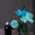 Professional floral dye liquid for roses and plants, perfect color absorption tool. - Blue / 250ML