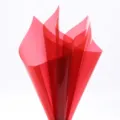Red transparent waterproof flower wrapping paper, cellophane bouquet packaging material - Sun / 20 Pieces/Pack (58x58cm)
