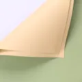 Waterproof double-sided floral wrapping paper for gorgeous bouquet arrangements and florist crafts. - Matcha + Champagne 053