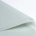 Waterdicht bloemeninpakpapier mat bloemistenpapier boeket verpakking cadeau inpakmateriaal - Verpakking van 20 / Muntgroen Kattenoog Dik Frame