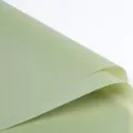 Lichtgroen waterdicht bloemeninpakpapier, Koreaanse stijl mat cadeaupapier voor boeketten. - Verpakking van 20 / Bamboegroen