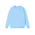 Light blue plain crewneck sweatshirt for daily wear, casual long sleeve soft pullover. - S / Sky Blue Crew Neck Sweatshirt