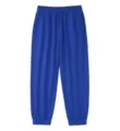 Royal blue heavyweight fleece sweatpants with elastic drawstring waist and cuffed hem. - S / Bottoms / Klein Blue