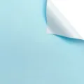 Two-tone floral wrapping paper, waterproof Korean style bouquet gift wrapping paper variant. - Pack of 20 / Sky Blue And White