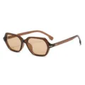 Modische braune achteckige Sonnenbrille für Damen und Herren, retro geometrischer Rahmen. - Tee Rahmen Tee Gläser