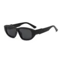 Black Frame Grey Lens