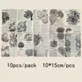 Vintage botanical flower decorative cards set of 10 pieces, retro newspaper style wall art decor. - Vintage English Floral / 10 Pieces/Pack