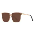 Oversized square sunglasses for women, translucent brown frame with chic gold temples. - Champagne Frame Tea Lens (Normal)