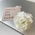 Detailaufnahme einer weißen Stoffblumen-Haarspange mit mehrschichtigem Blütenblatt-Design. - 18. Rein beige mittlere Blumen