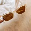 Schicke Retro schmale Cat-Eye-Sonnenbrille mit klarem Rahmen und stilvollen braunen Gläsern. - Spitzes Dreieck Champagner