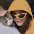 Retro gelbe Katzenaugen Sonnenbrille für Damen, trendiger Dreieck-Rahmen Hip-Hop Stil. - Gelber Rahmen Schwarze Linse