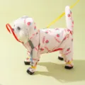 Rosa Erdbeere Druck Hund Regenmantel mit transparenter Kapuze vier Beine Haustier Mantel - XS / Oly-Rosa Erdbeere (Verbessertes Full-Wrap-Design)