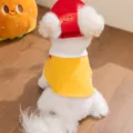 Vista dettagliata di un set mantello per animali, vestiti traspiranti per cani. - Set Mantello Giallo