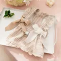 Schickes gestreiftes Haustierkleid mit süßen Spitzenrüschen für kleine Hunde und Katzen. - S / Gesticktes Braun