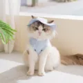 Cute cat summer cooling clothes and sun hat set, breathable thin two-leg pet apparel for kittens. - XS (Recommended Weight 1-3 lbs) / Blue Cooling Vest with Free Hat