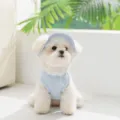 Atmungsaktive hellblaue Haustierweste mit Sonnenhut für kleine Hunde, SommerWelpenbekleidung. - XS (Empfohlenes Gewicht 0,5-1,5 kg) / Blaue Weste | Mit Hut