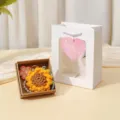 Handgemachter Häkel Sonnenblume Schlüsselanhänger Geschenk Set, schöne Wollblume. - Glücklicher Lehrertag Sonnenblumen-Set / Gelb