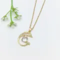 Primo piano dettagliato di una collana con ciondolo a delfino placcata in oro con zirconi. - Stile Delfino che Salta (XL1200-39)
