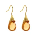 Prachtige goudkleurige oorbellen met elegante druppelvormige amberkleurige hangers. - Geel