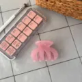 Kleine rosa Haarklammer Französisch elegante vier Zähne Haarschmuck für Damen tägliches Styling - Vier-Zahn Unregelmäßige Kralle / Gelee Rosa