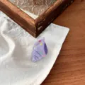 Detalle en primer plano del mini pinza de pelo de concha morada con puntos coloridos en fondo. - Estilo Caracola Violeta con Lunares