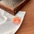 Detalle de mini pinza de pelo de concha, accesorio de resina bonito para estilo dulce. - Estilo Concha Perla Tímida