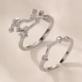 Silbernes Sternzeichen Ringe Set, verstellbare offene Ringe mit funkelndem Zirkonia Stein. - Weißgold Vergoldeter Typ - Wassermann (RZ0817)