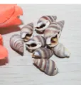 Purple brown striped natural sea shell conch charm pendant crafts clothing bag accessories detail - Striped Conch (Side Hole) / 15-25mm / Purple Coffee
