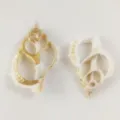 Natural conch shell slice pendant gold plated edge DIY jewelry accessory craft pieces - 50-60mm / Natural Color