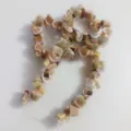 Natural peacock shell conch slice chain irregular snail tip DIY handmade jewelry accessory. - Particle Approx 8-10mm (Approx 80 Beads/Strand) / Natural Color