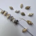 Natural seashell beads conch charms small hole loose beads for DIY jewelry making crafts wholesale - Corn Conch (Side Hole) / Approx 16x9mm