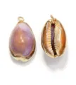 Gros plan de pendentifs en coquillage cauris naturel avec bords dorés pour la création de bijoux. - Env. 1,6-1,8 cm / Galvanisé : coquillages violets à bordure dorée