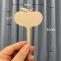 Apple-shaped wooden plant marker label for succulent garden with 10cm height details - Wooden Apple