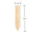 10x2cm natural bamboo wooden garden plant labels tags for potted succulents and flowers - Bamboo Strip Shape / 10x2cm