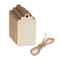Set of wooden plant labels for garden tags with natural twine for DIY flower garden crafts - Hanging Tag (with Rope) / 50 Pieces/Pack