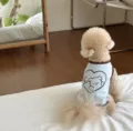 Breathable summer dog vest cute bear heart pattern thin pet clothes for small dogs cats. - S / Blue
