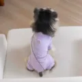 Atmungsaktive lila vierbeinige Kühlungskleidung für kleine Hunde, modische Sommerhundebekleidung. - S / Lila