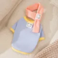 Süße Haustier Hundekleidung Winter warmer Makronenfarbe Bär Pullover mit Schal Set - XS / Set / Blau
