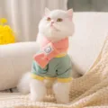 Joli ensemble de vêtements d'hiver pour chat et chien avec écharpe en tricot macaron - XS / Avec Écharpe / Ours Vert