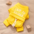 Yellow pet dog hoodie warm four-legged pet clothes cute autumn winter apparel puppy outfit - XS / Rocker Yellow