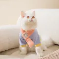 Cute autumn winter pet cat dog clothes blue sweater pink scarf bear patch warm outfit - XS / With Scarf / Blue Bear