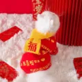 Festlicher roter Haustier-Strickpullover für Katzen und Hunde, gemütliche Winterkleidung. - S (Empfohlenes Gewicht 1,5-2,5 kg) / Glück-Set Pullover / Rot