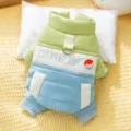Cute winter pet dog warm padded coat with D-ring harness, cozy jacket for small medium dogs cats. - XS / Green and Blue