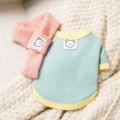 Leuke huisdier winter warme trui en sjaal set voor kleine honden katten, comfortabele kledingvariant. - M (Aanbevolen gewicht 2,5-4 kg) / Groene beer (inclusief sjaal)