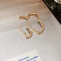 Detailed close-up of gold-plated twig hoop earrings with shimmering cubic zirconia, elegant retro style. - Branch Design / Silver / Gold