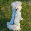 Winter Hund vierbeiniger Fleece-Anzug warmer Haustier-Mantel mit Reißverschluss und Leinenring - S / Dian Grün