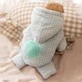 Grüne karierte Hundewinterjacke warme vierbeinige Haustierbekleidung mit Kapuze Pompon - 2XL / Grün mit Kapuze